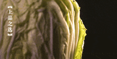 东北人囤菜的快乐，南方人不懂，哈哈哈哈哈