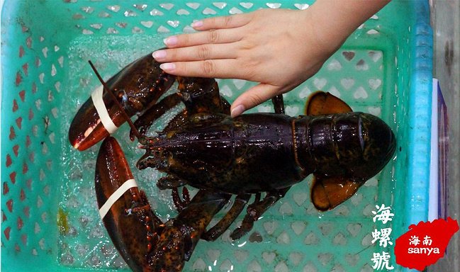 挑选海鲜二图片