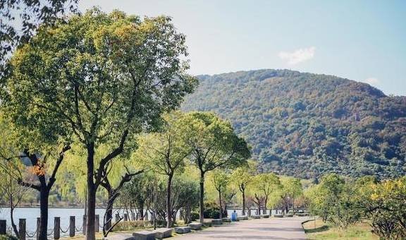 嘉兴一湖泊被誉为小西湖，环境清幽有同款长堤，游客直呼比西湖美