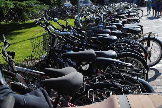 北大清华不是旅游景点，为什么每天16000人参观，人气超4A景点？