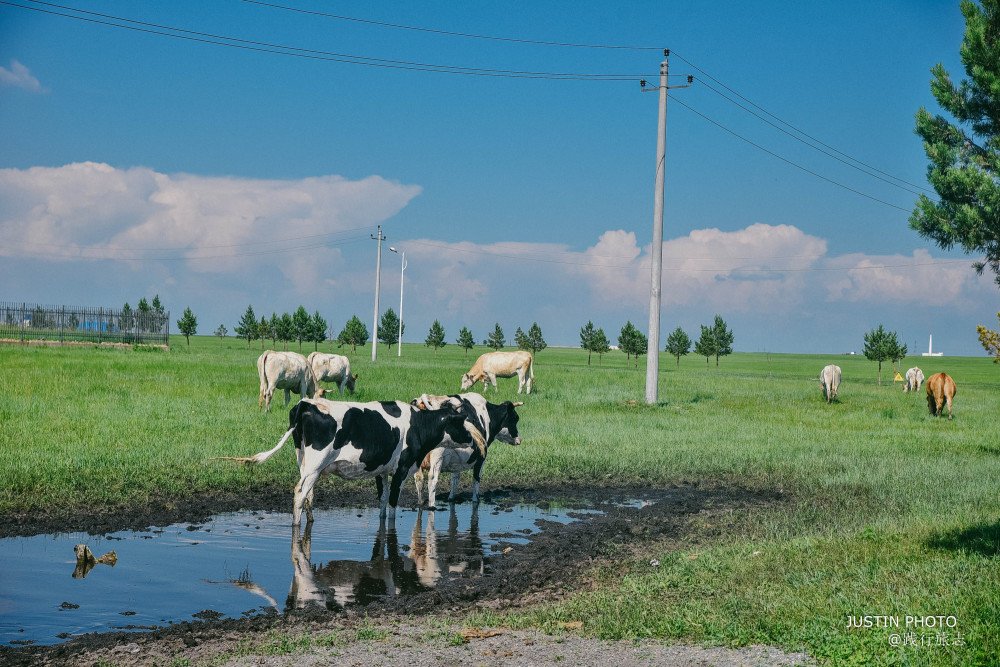 内蒙古唯一一个以游牧部落为景观的旅游景点，值得一去