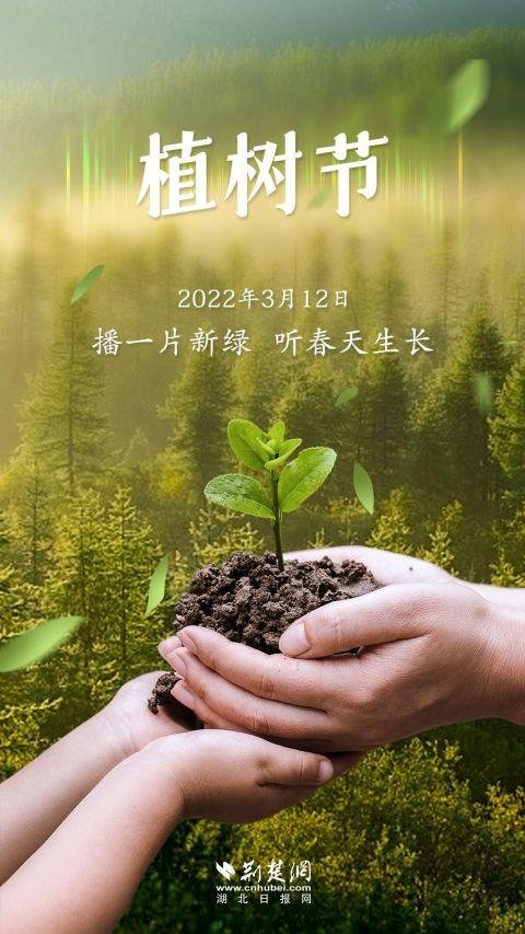 只此青绿，铺就美丽中国发展底色