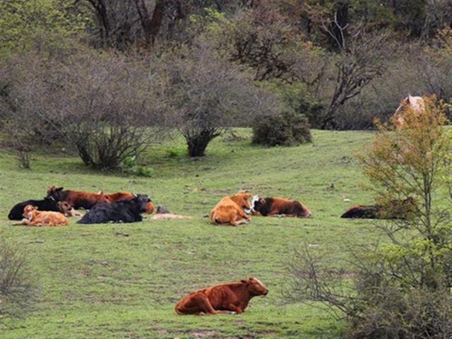 四川达瓦更扎短途自驾游必去景点推荐