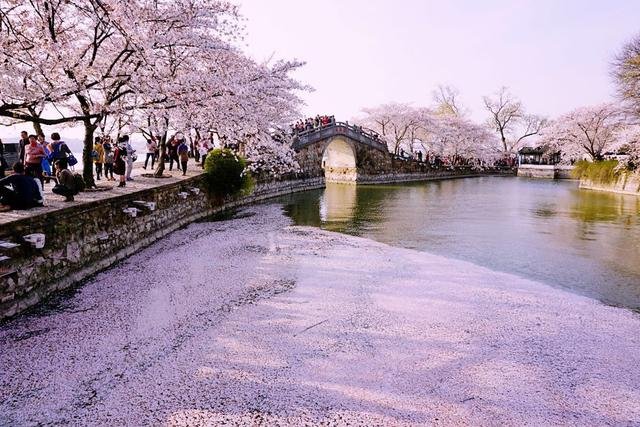 无锡必去旅游景点，旅游度假休养地，游客们都争着前往之地
