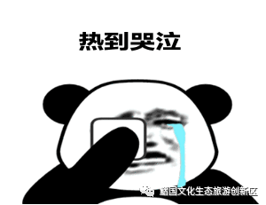 夏季避暑去哪儿？重庆周边避暑胜地推荐