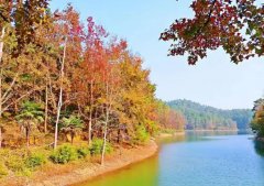 上甘岭红色文化旅游线路，感受历史的震撼与感动