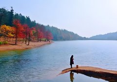 上甘岭森林公园游玩指南，享受大自然的怀抱