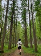 甘岭与上甘岭一日游行程推荐，轻松玩转自然与历史