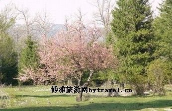 邓萨提寺