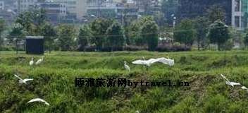 昌宁勐统坝芒糯寨