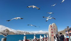 西藏美食指南，必尝藏式风味与特色小吃