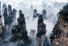 全面升级旅游咨询网，助你高效制定行程